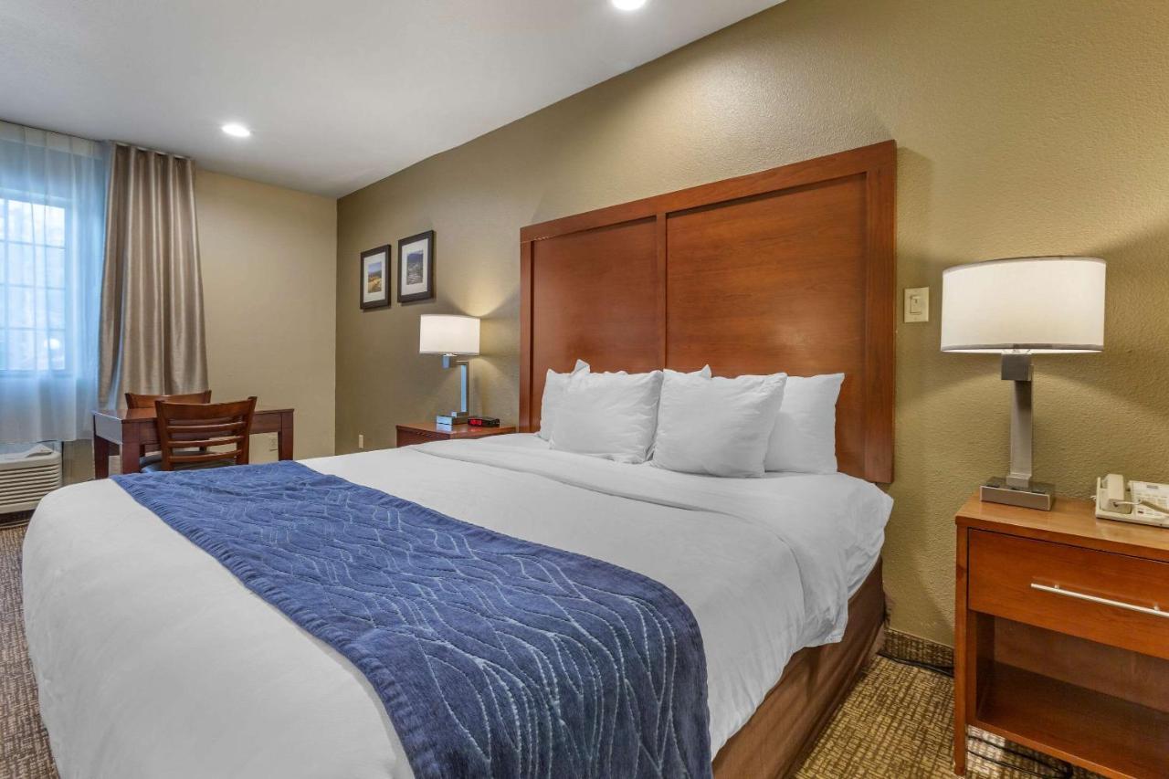 Comfort Inn I-17 & I-40 Flagstaff Extérieur photo