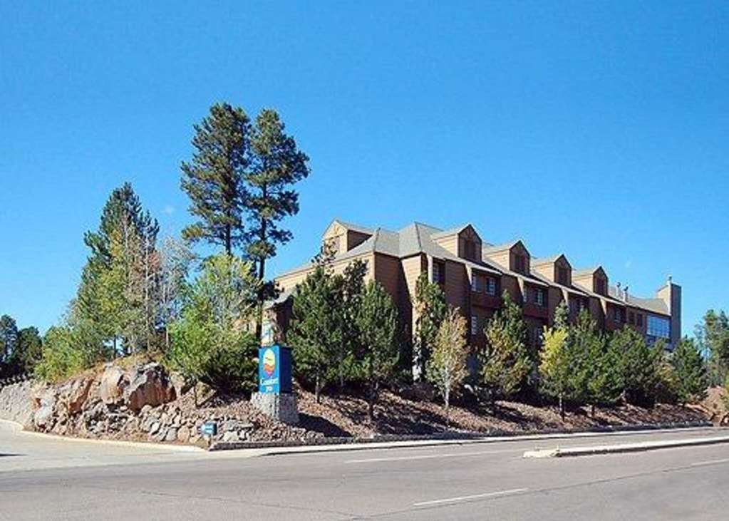 Comfort Inn I-17 & I-40 Flagstaff Extérieur photo