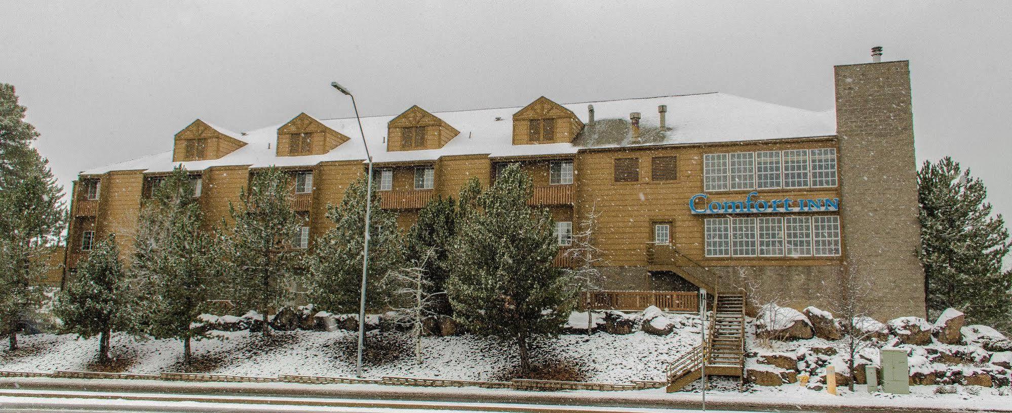 Comfort Inn I-17 & I-40 Flagstaff Extérieur photo